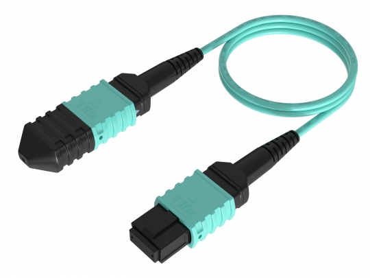 MM OM4 50/125(MPO-MPO 12C)